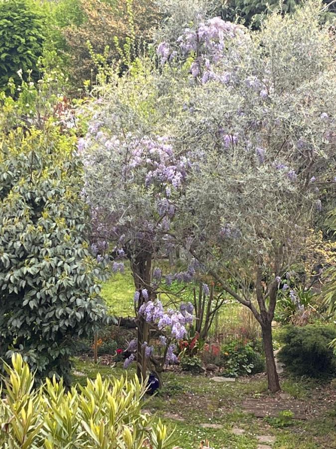 A Room And Garden Close To Paris Vitry-sur-Seine Zewnętrze zdjęcie